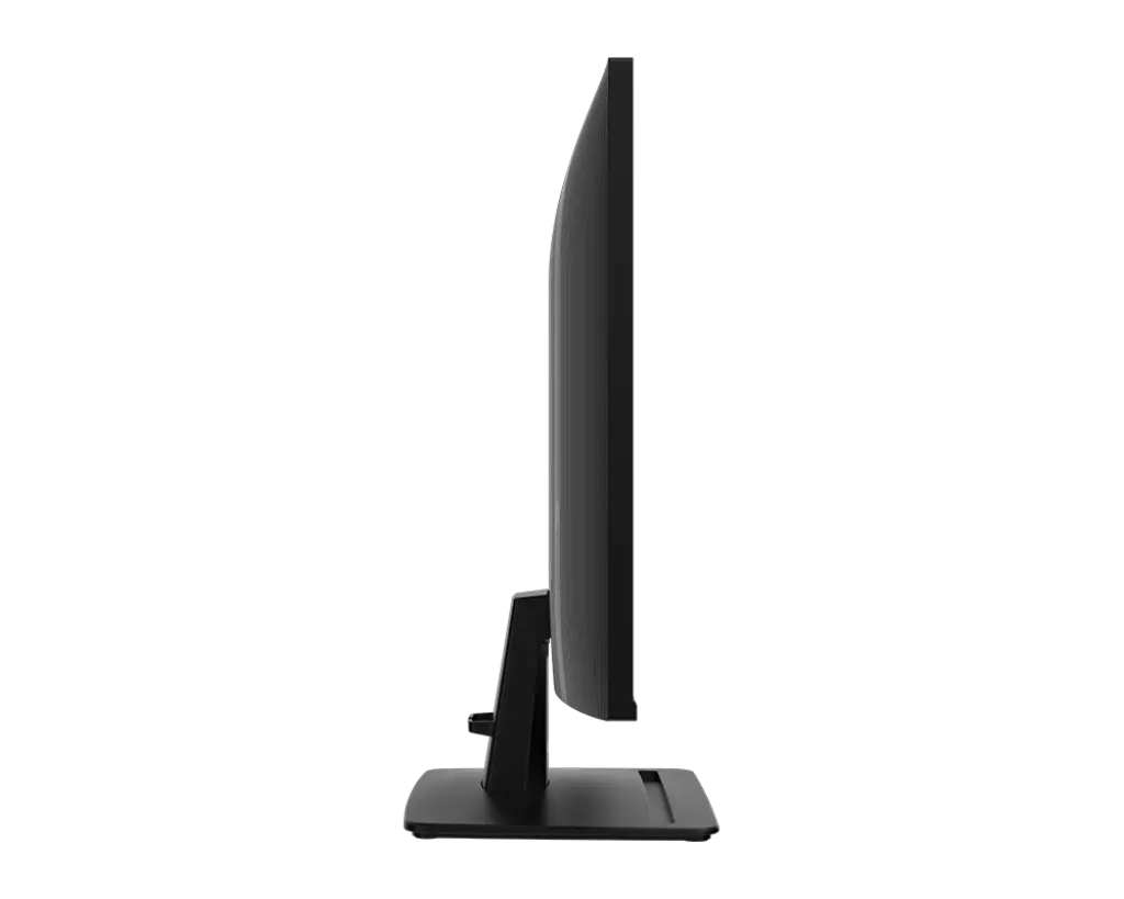 MSI Pro MP251E2 2.webp